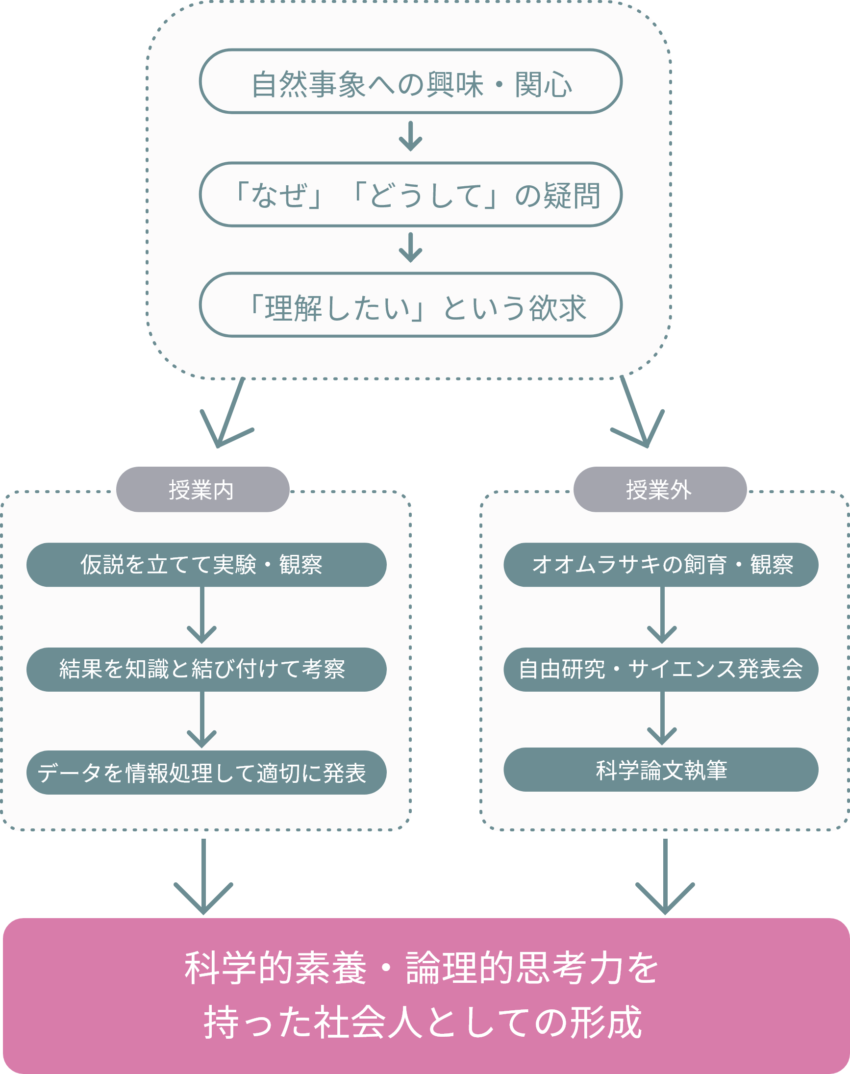 理科で身につける力